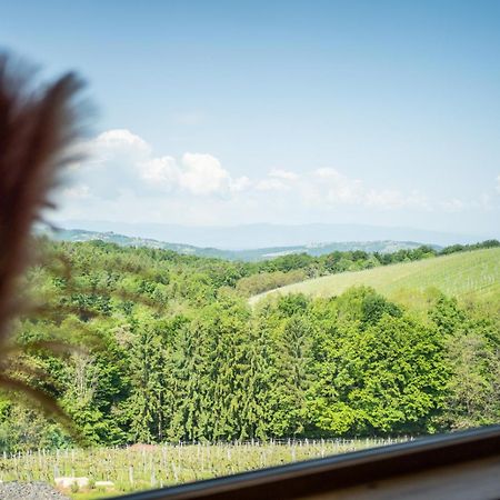 ライプニッツSteirerblicke - Am Winzerkogelアパートメント エクステリア 写真